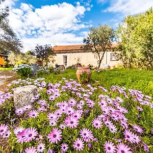 Casa vacanze Casa Lilliosa 